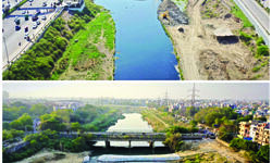 Low checkdams on drains reducing pollution in Yamuna, show 1st tests Low checkdams on drains reducing pollution in Yamuna, show 1st tests