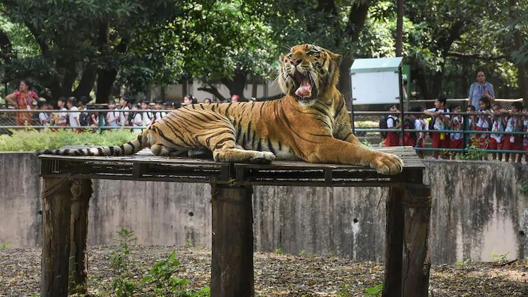 Delhi zoo reopens, all tickets sold overnight