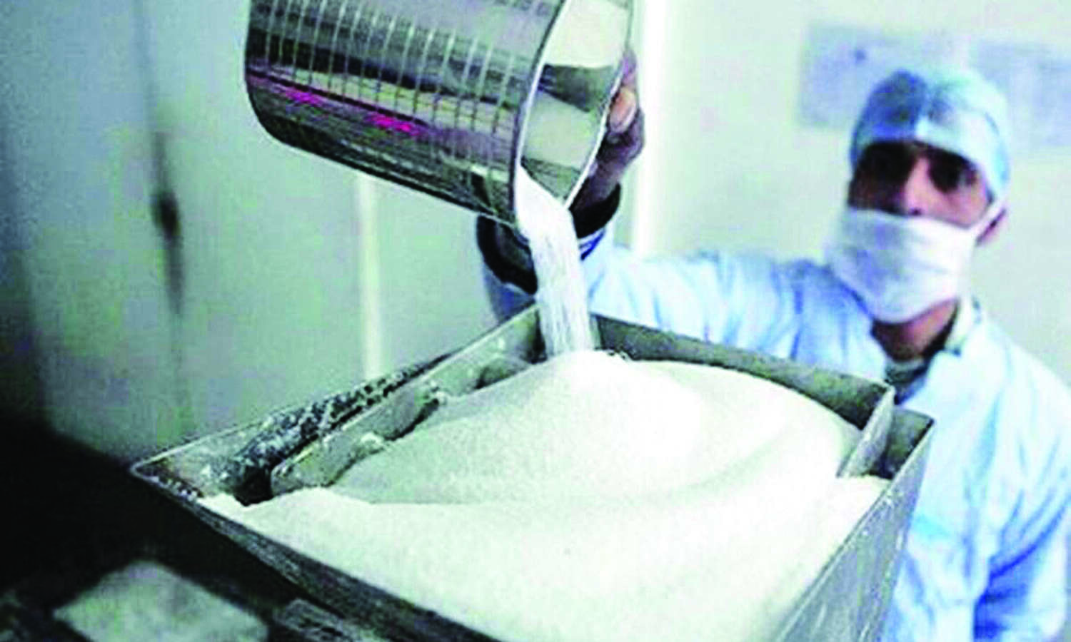 Sugar exports estimated to rise by 15% this year