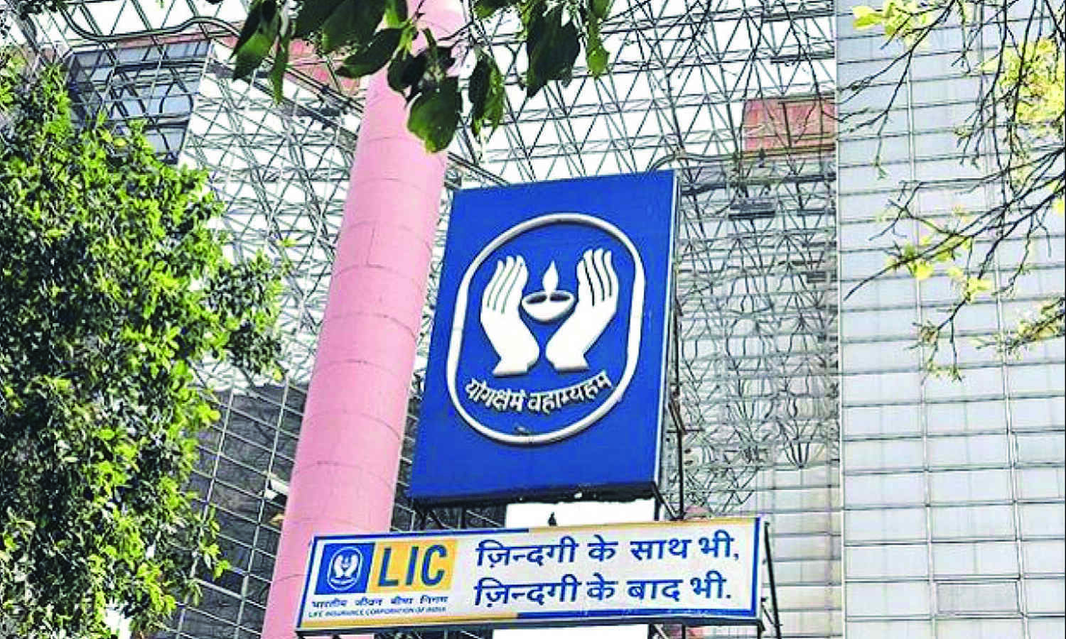Govt to take call in best interest   of investors, says DIPAM Secy
