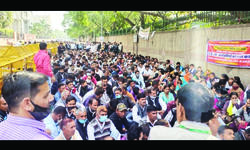 They keep passing the buck, we keep suffering, say DBCs They keep passing the buck, we keep suffering, say DBCs