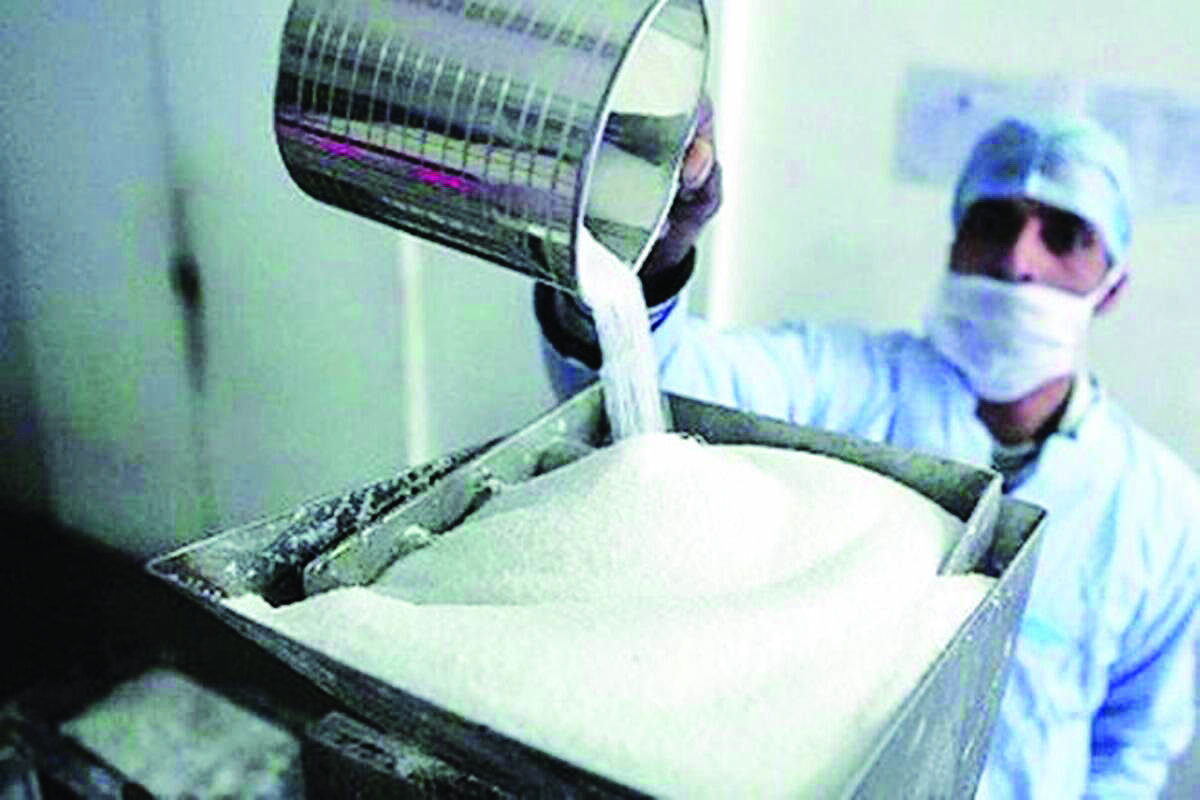 Sugar exports estimated to rise by 15% this year