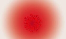 An insightful profiling An insightful profiling