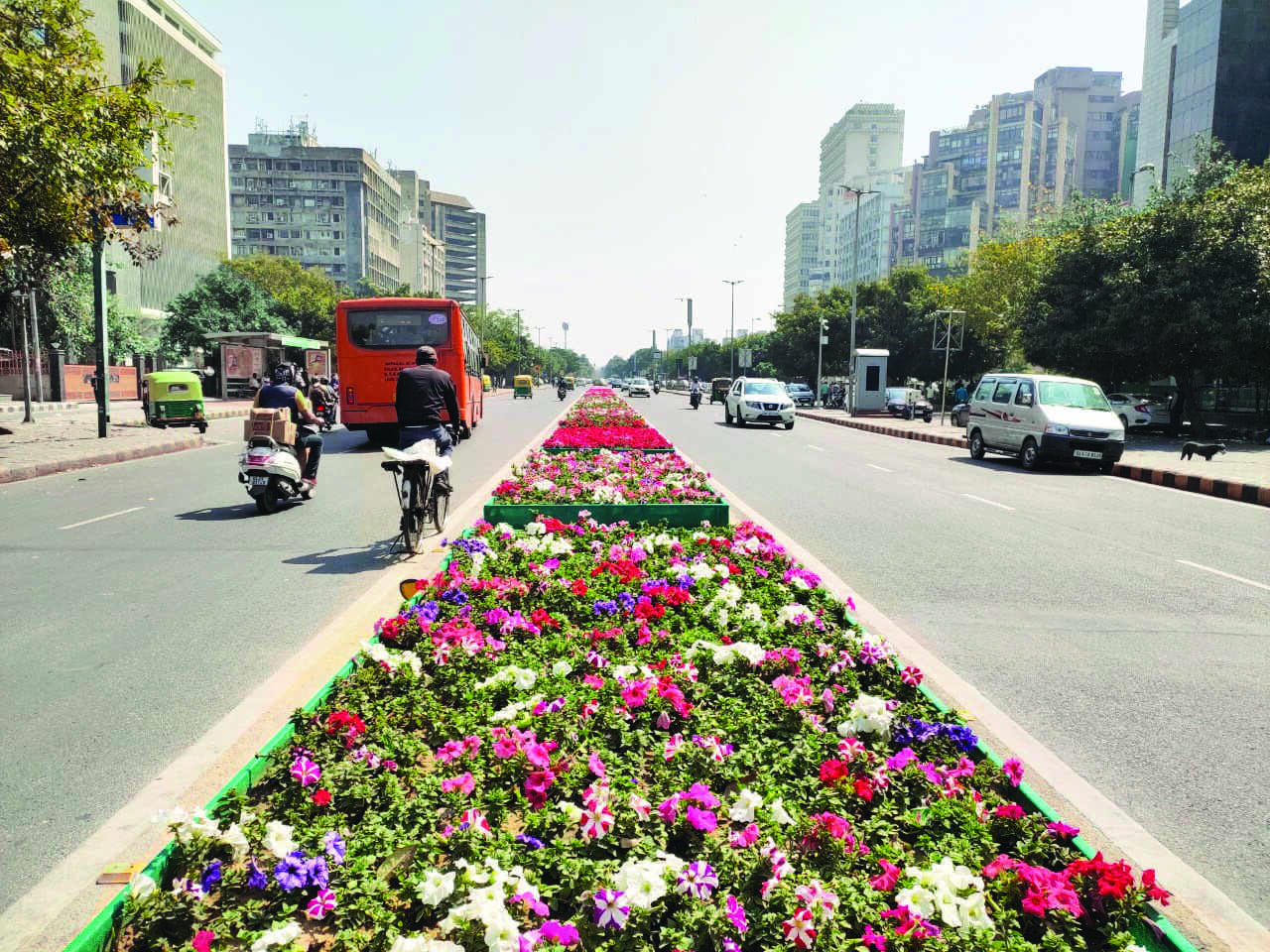 Flower avenue: NDMC decks 500m concrete central verge on Barakhamba Rd with petunia Flower avenue: NDMC decks 500m concrete central verge on Barakhamba Rd with petunia