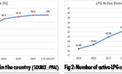 A leverage for growth