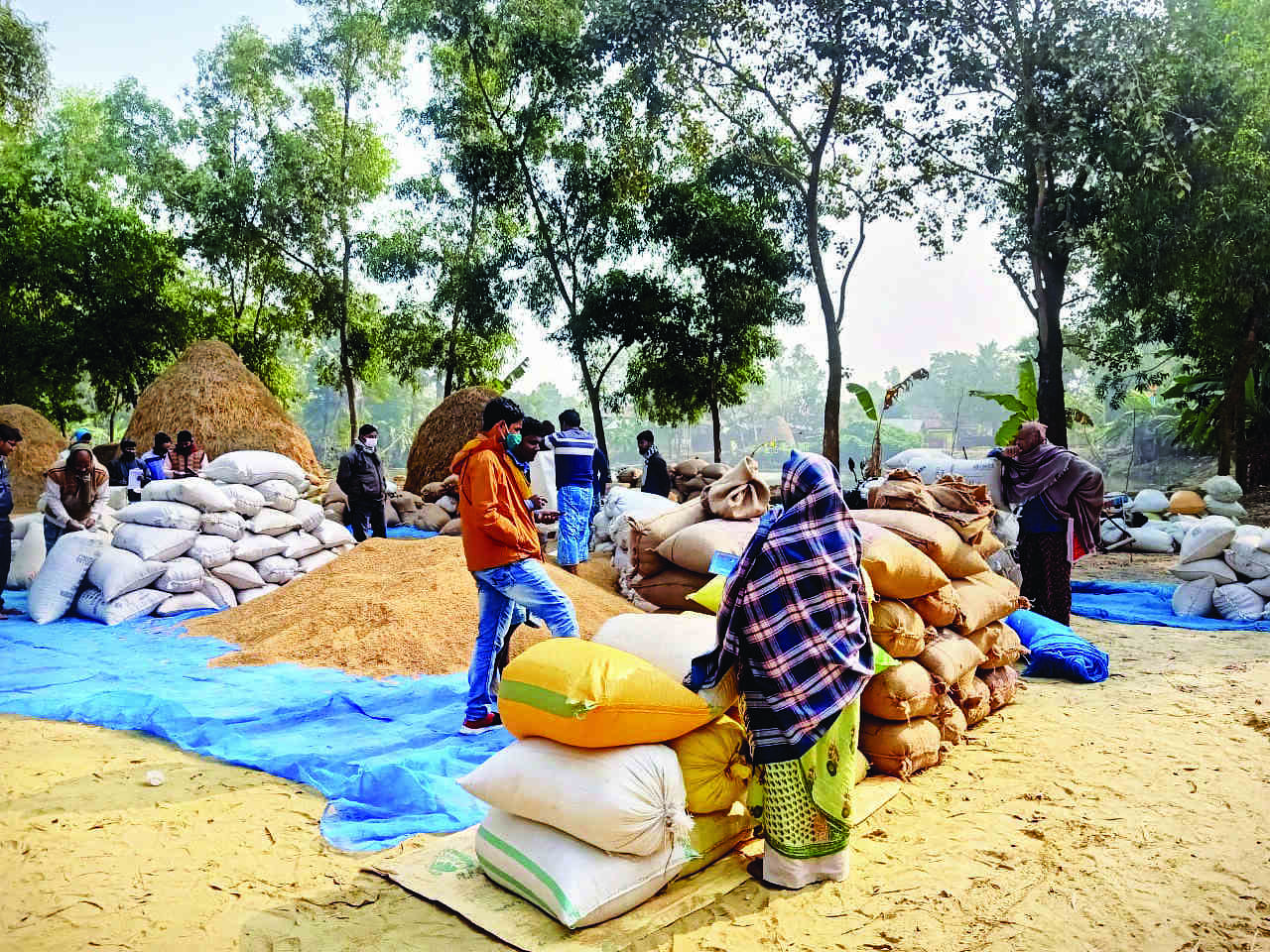 In one go, state procures rice for ration, mid-day meal for 1 year In one go, state procures rice for ration, mid-day meal for 1 year