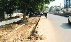 Ggm: 5 infra projects to hit a lot of its green cover Ggm: 5 infra projects to hit a lot of its green cover