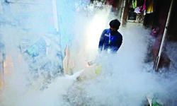 After 17 days, domestic breeding checkers call off indefinite strike After 17 days, domestic breeding checkers call off indefinite strike