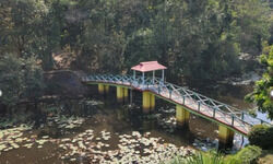 Tapping into ecotourism Tapping into ecotourism