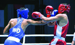 Vishwanath, Vanshaj strike gold; Indians claims 39 medals