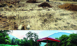 Nexus of Good: Wonder out of waste Nexus of Good: Wonder out of waste