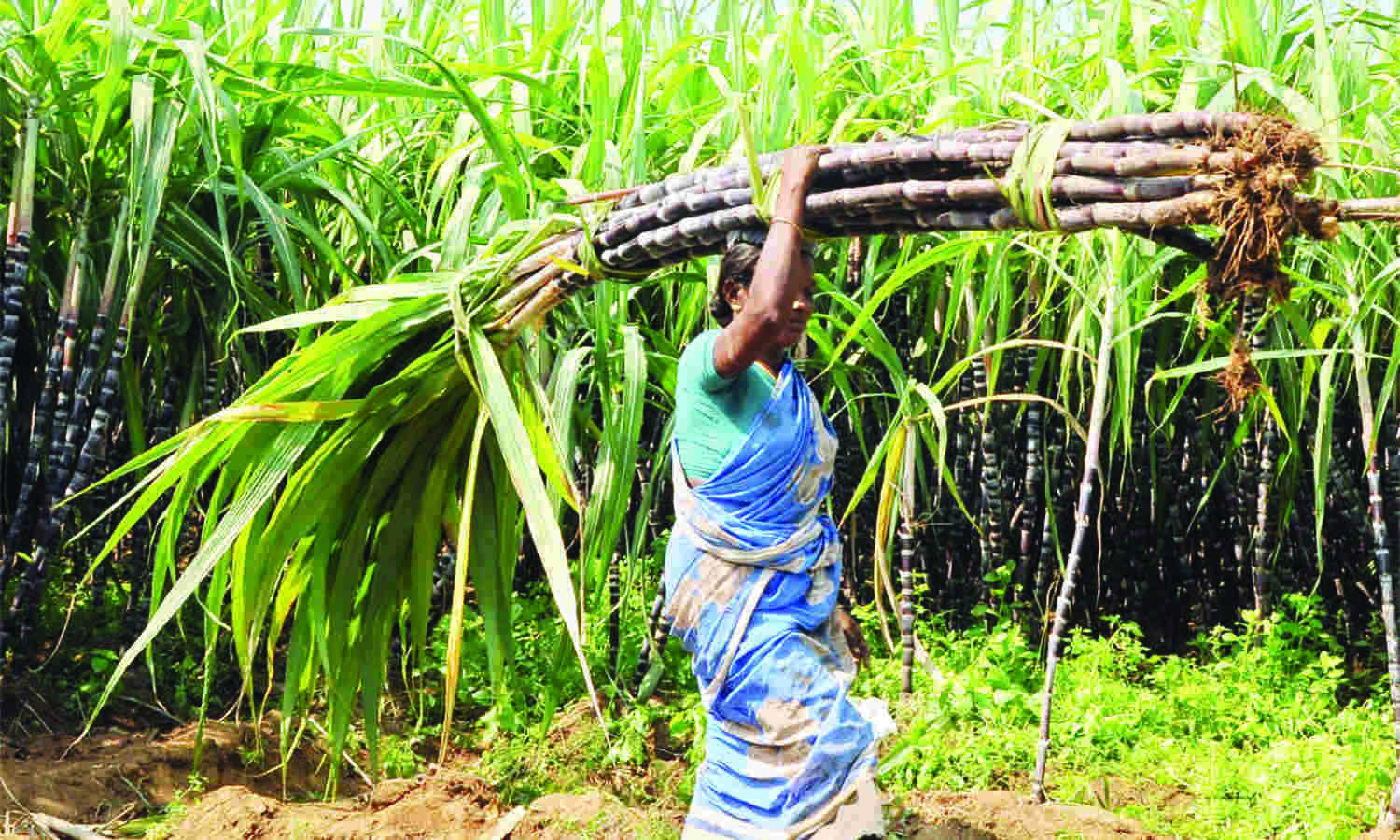 CPI for farm & rural workers jumps to 5.59%, 5.94% in Feb