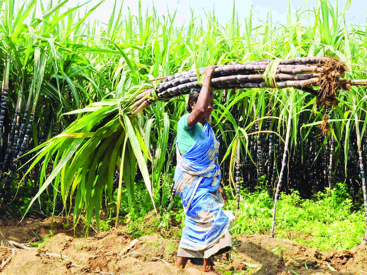 CPI for farm & rural workers jumps to 5.59%, 5.94% in Feb