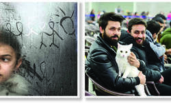 Getting past the trauma