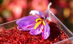 Kashmiri saffron: A deluxe spice Kashmiri saffron: A deluxe spice