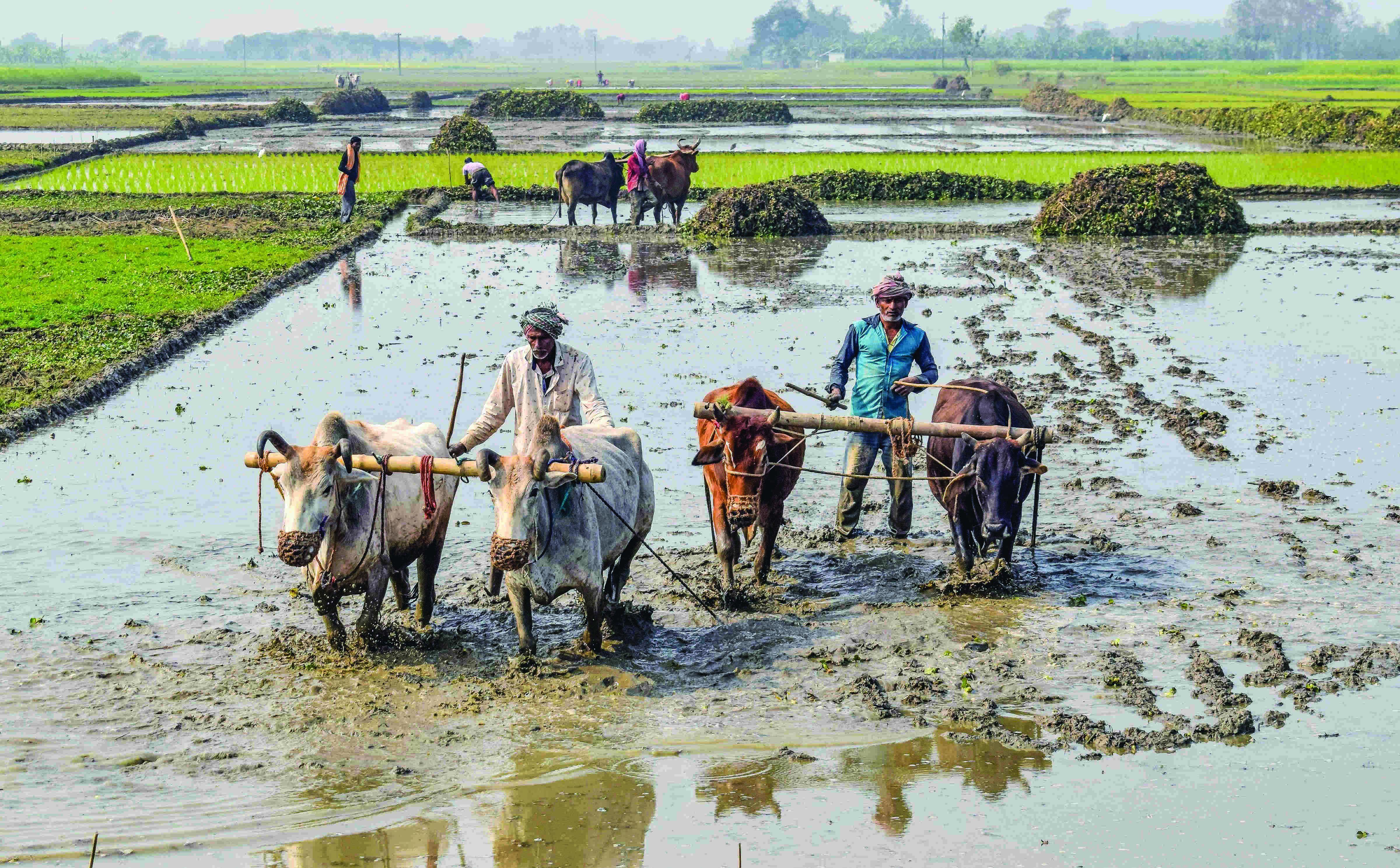 Centre depriving at least 10 lakh farmers under PM Kisan Centre depriving at least 10 lakh farmers under PM Kisan