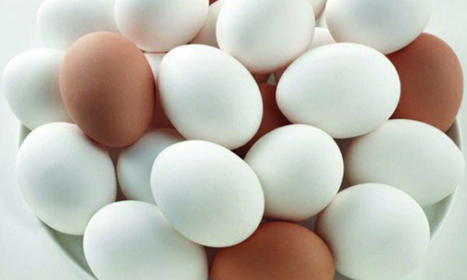 Bengal to become self-reliant in egg production by 2023: ARD Min in Assembly