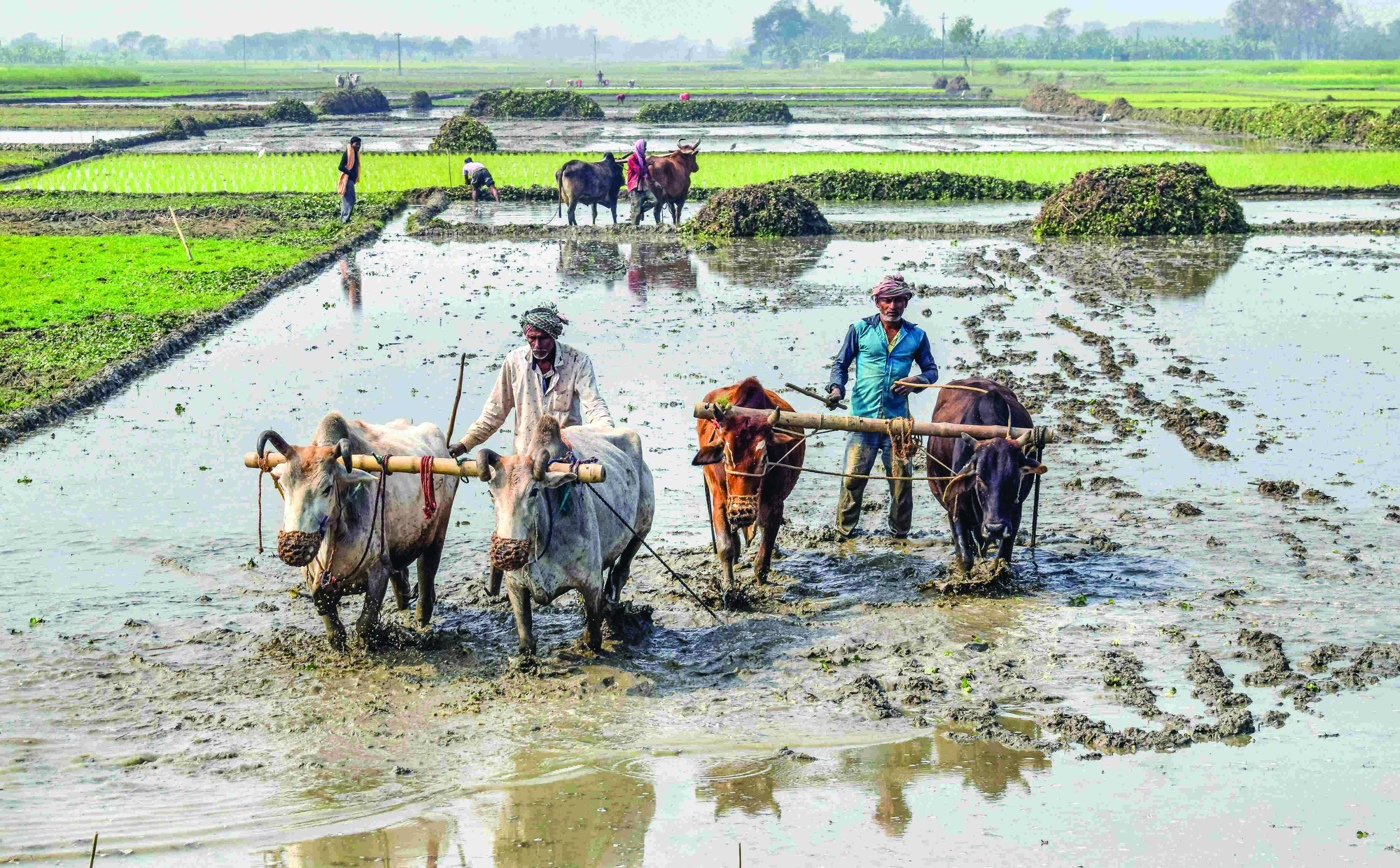 10L state farmers deprived of PM Kisan Nidhi Scheme 10L state farmers deprived of PM Kisan Nidhi Scheme
