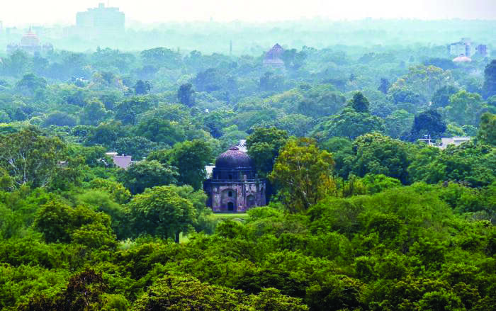3,000 acres across 17 city forests to soon be developed into world-class parks: CM 3,000 acres across 17 city forests to soon be developed into world-class parks: CM