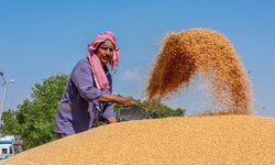 A bigger role to play A bigger role to play