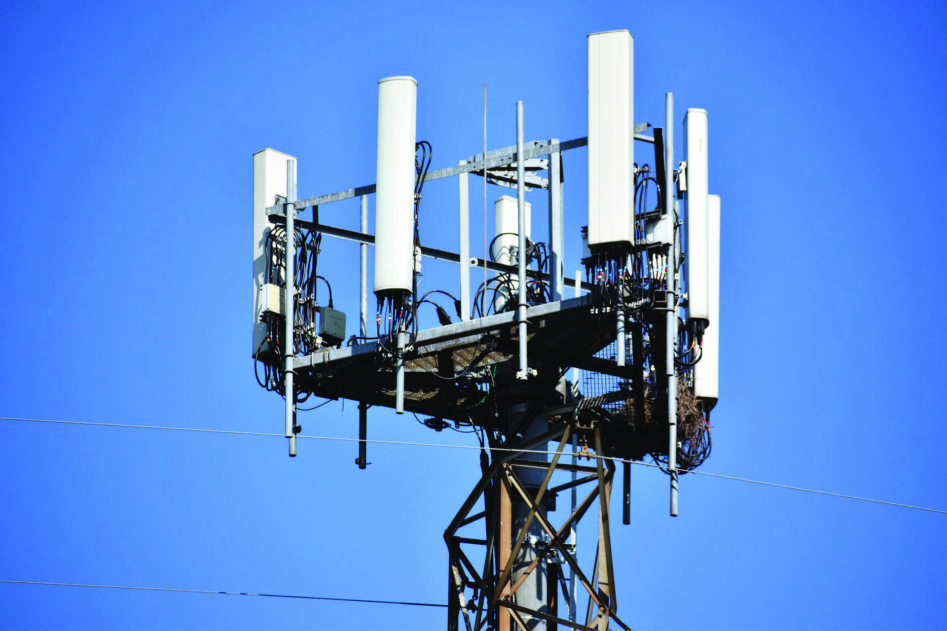 5G recommendations in 7-10 days; work in final stages: Trai Secy