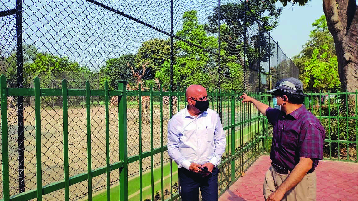 State zoo authority gets nod for starting breeding of 3 birds, yellow monitor lizard State zoo authority gets nod for starting breeding of 3 birds, yellow monitor lizard