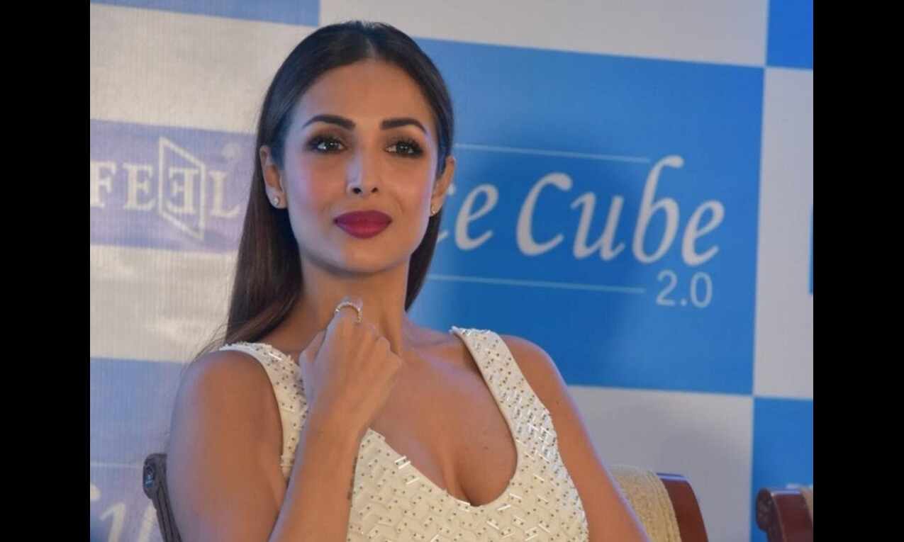 Actor Malaika Arora injured in car accident