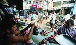 South Delhi Mayor calls for shutting down meat shops during Navratri, says offensive to Hindus South Delhi Mayor calls for shutting down meat shops during Navratri, says offensive to Hindus