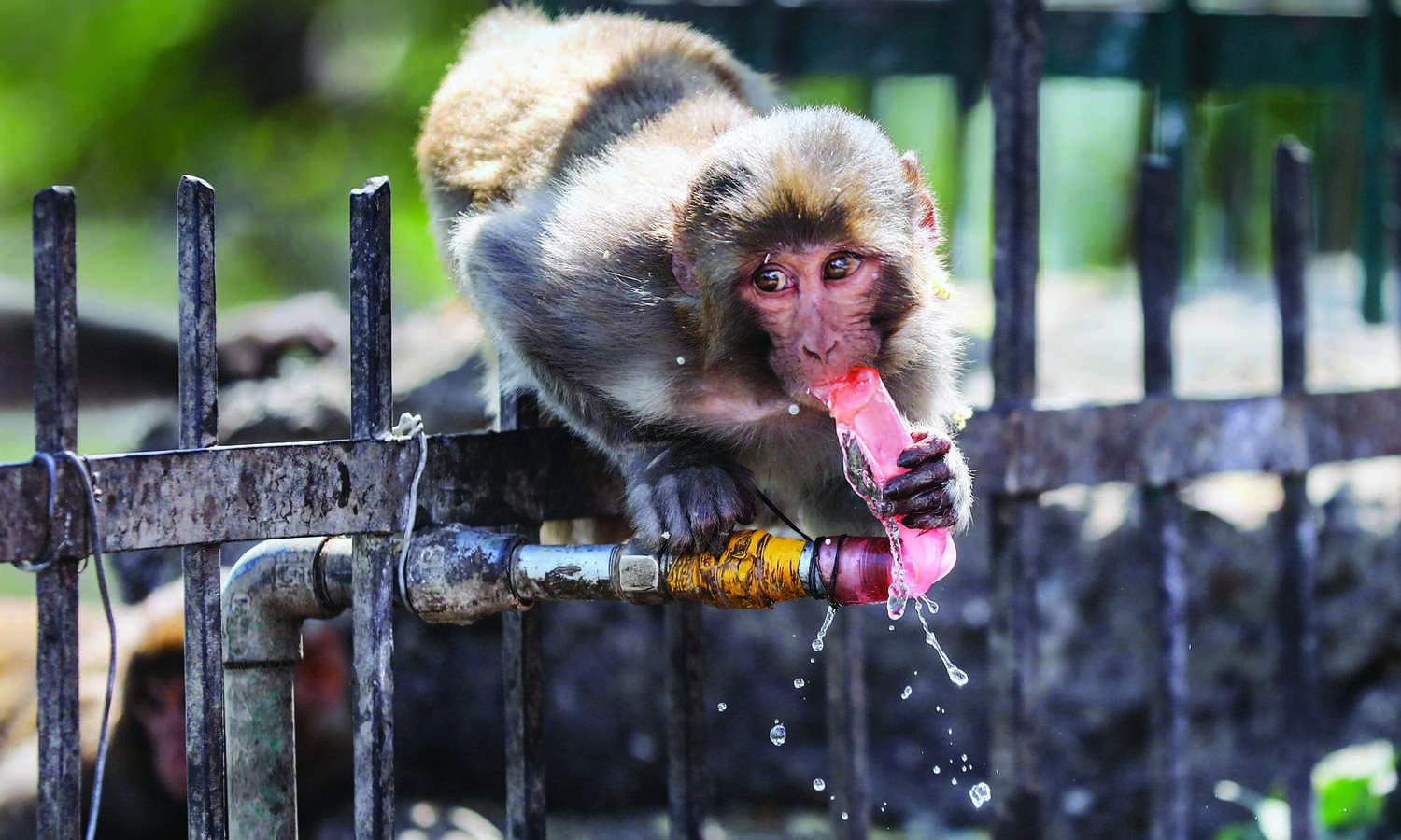Temp to be higher than normal in major parts of India in April