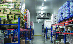 State to set up 20 more cold storage units State to set up 20 more cold storage units