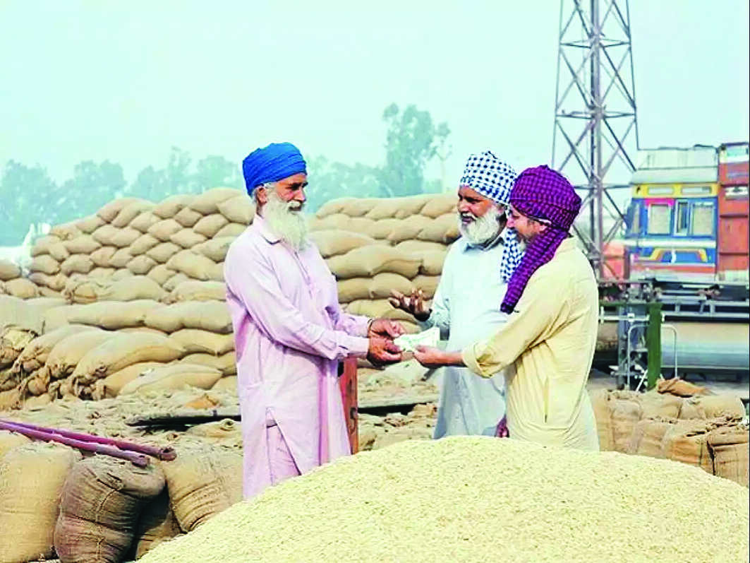 Punjab sees record 17 lakh tonnes wheat purchase so far in this season Punjab sees record 17 lakh tonnes wheat purchase so far in this season