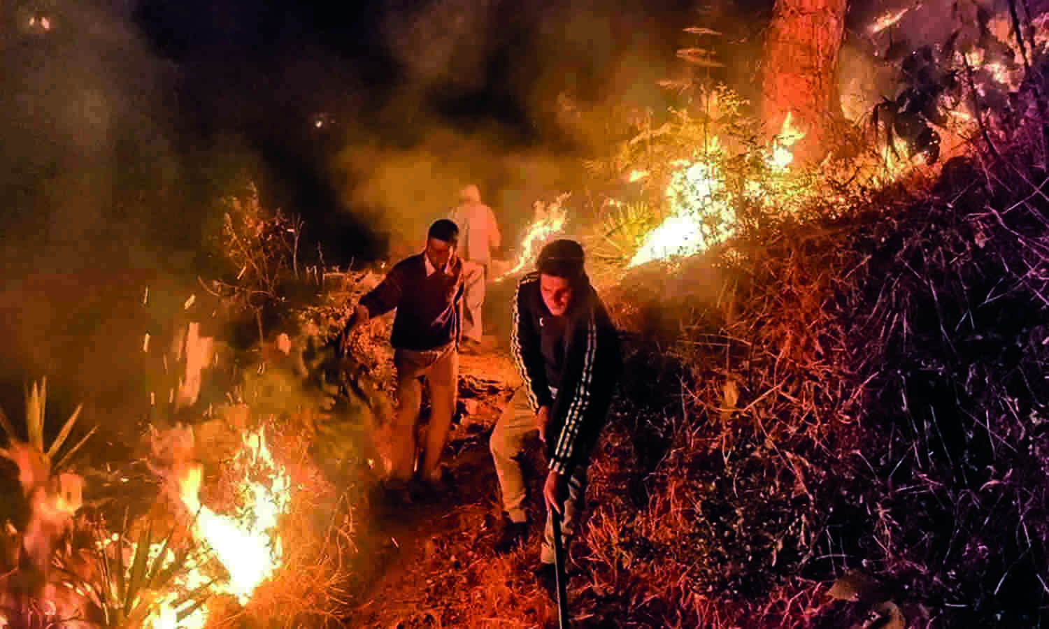 India can help other countries achieve climate change goals