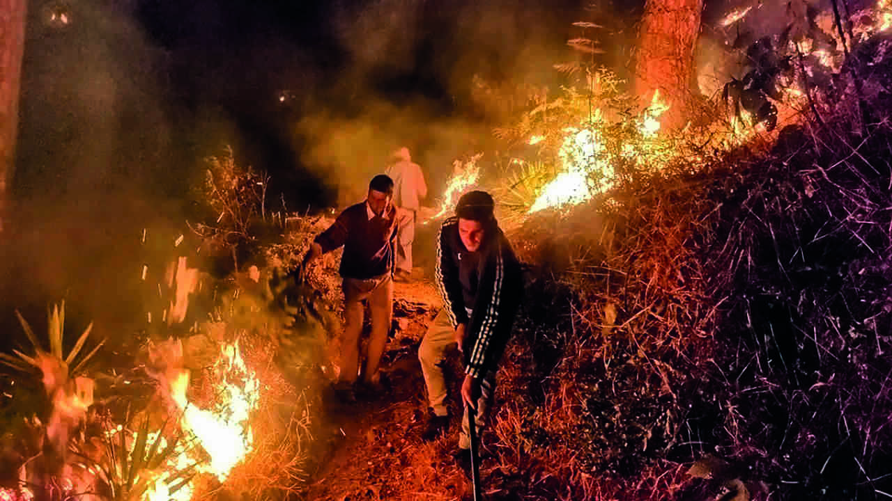 India can help other countries achieve climate change goals