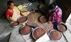 Food inflation: a new pandemic Food inflation: a new pandemic