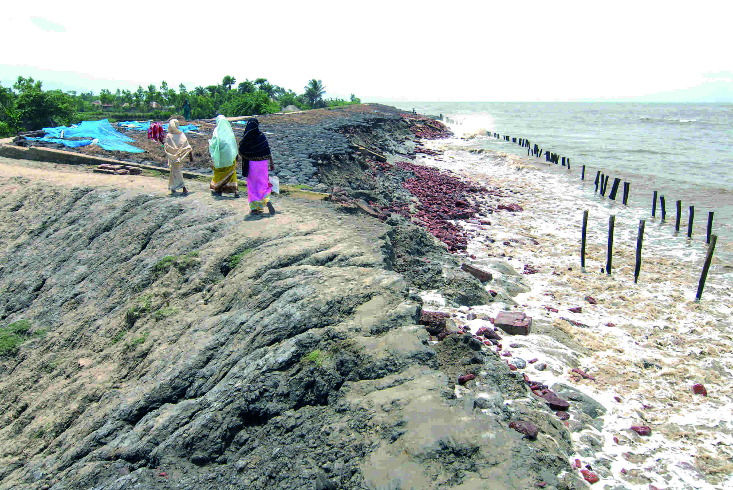 Bengal to take tips from Netherlands for sustainable flood management Bengal to take tips from Netherlands for sustainable flood management