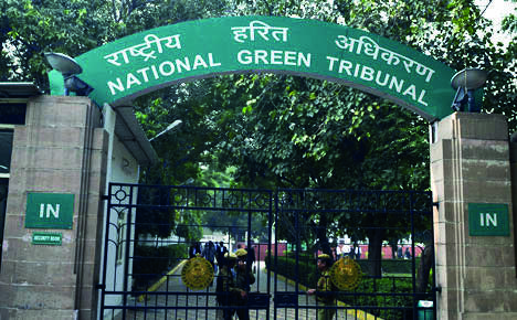 Illegal dumping of sewage in South Delhi: NGT forms committee to review current mechanism Illegal dumping of sewage in South Delhi: NGT forms committee to review current mechanism