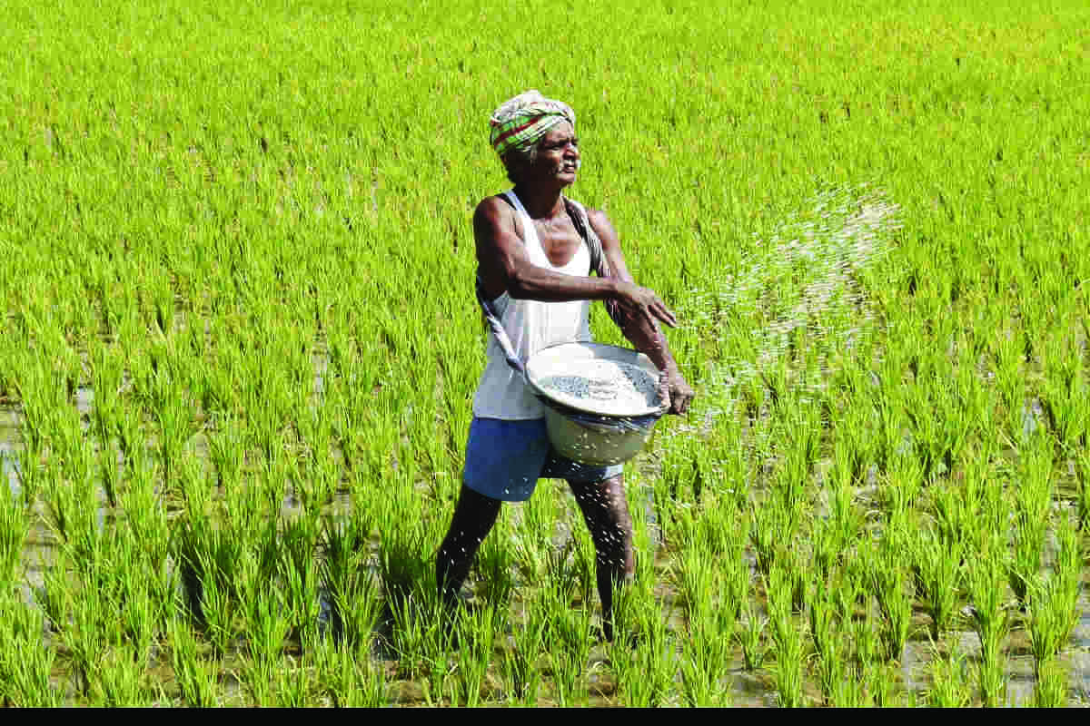 Govt okays Rs 60,939 cr subsidy for P&K fertilisers for April-Sept Govt okays Rs 60,939 cr subsidy for P&K fertilisers for April-Sept