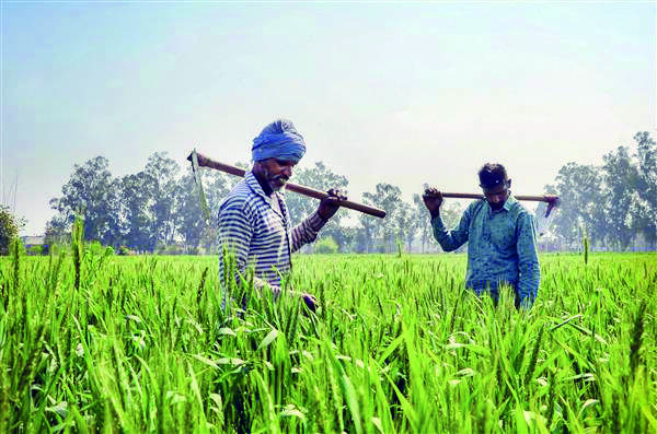 Fertiliser subsidy may go up 55% to record Rs 2.5L cr in FY23: Sources