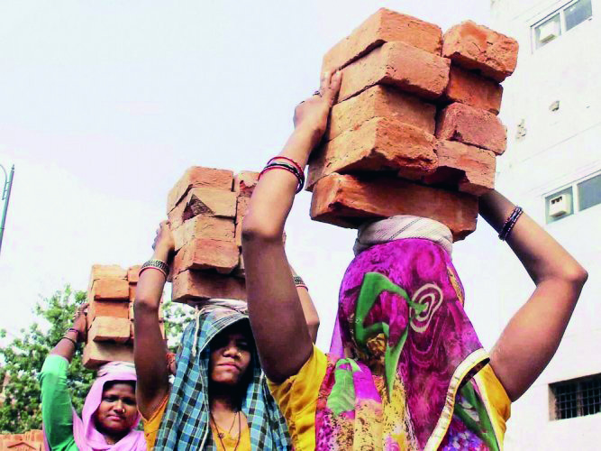 Bina Mulya Samajik Suraksha Yojana: Rs 335 cr disbursed in 2 yrs Bina Mulya Samajik Suraksha Yojana: Rs 335 cr disbursed in 2 yrs