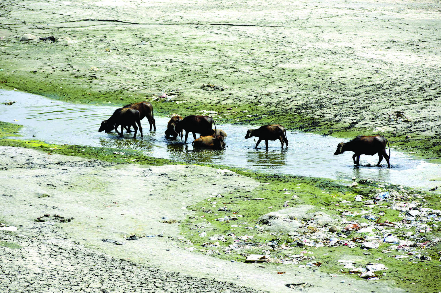 Facing shortage, DJB asks Hry to ramp up supply