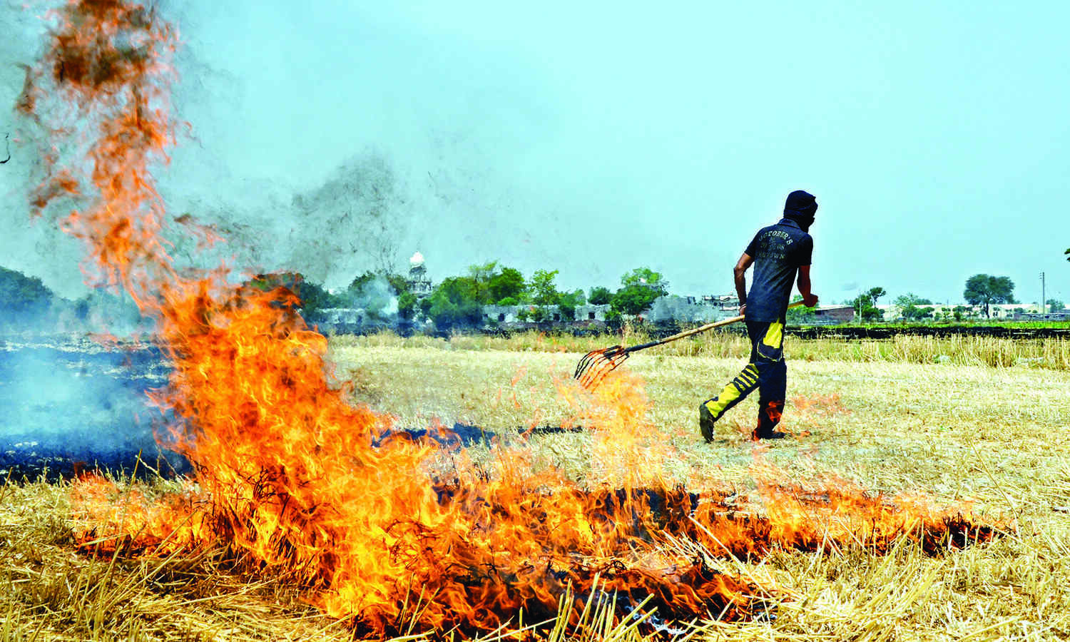 Take steps to avoid loss of life due to heatwave or fire incidents