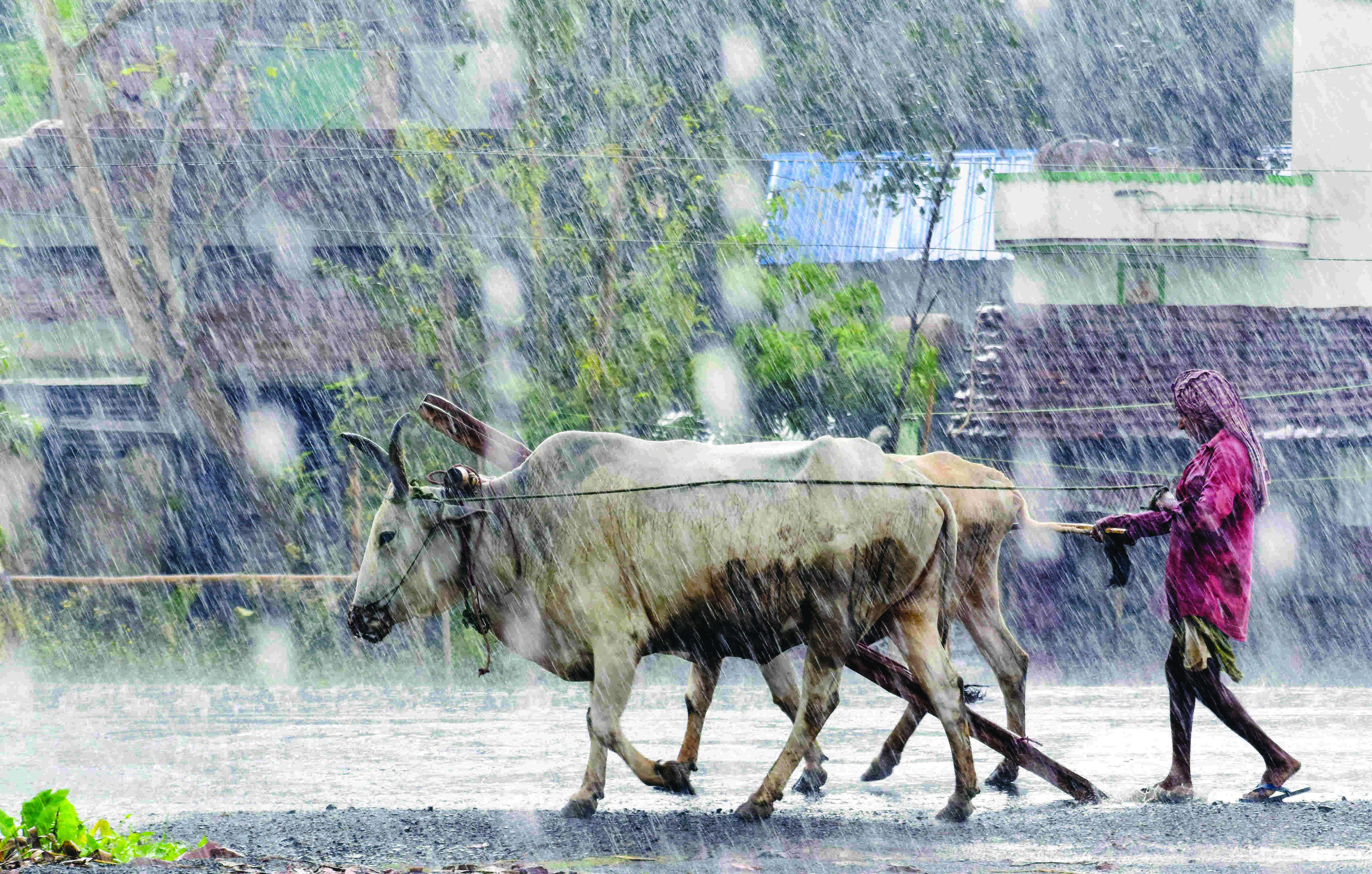 Rains batter Bengal as state braces for Cyclone Asani; to recurve from today Rains batter Bengal as state braces for Cyclone Asani; to recurve from today