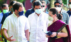 Cong likely to go ahead with one-family-one-ticket rule