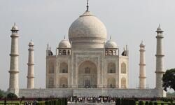 Talking Shop: Our gormless today