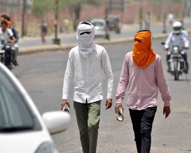 Delhi: Heatwave predicted to peak on Sunday before easing Delhi: Heatwave predicted to peak on Sunday before easing