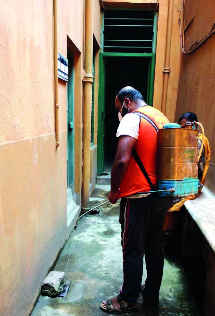 Civic bodies start surveillance to check vector-borne diseases