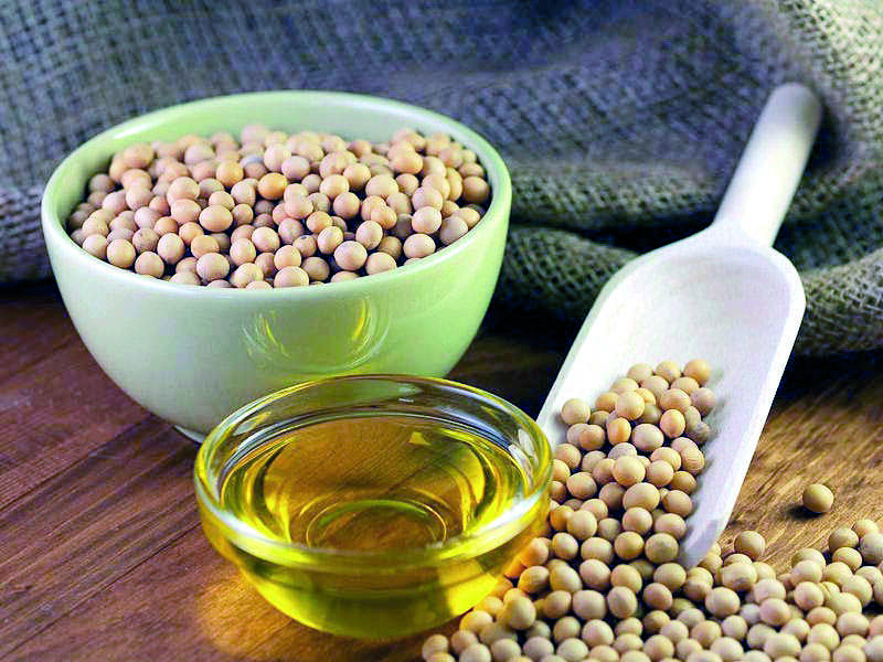 Oilmeals exports in April rise 10% to 3.34L tonnes Oilmeals exports in April rise 10% to 3.34L tonnes