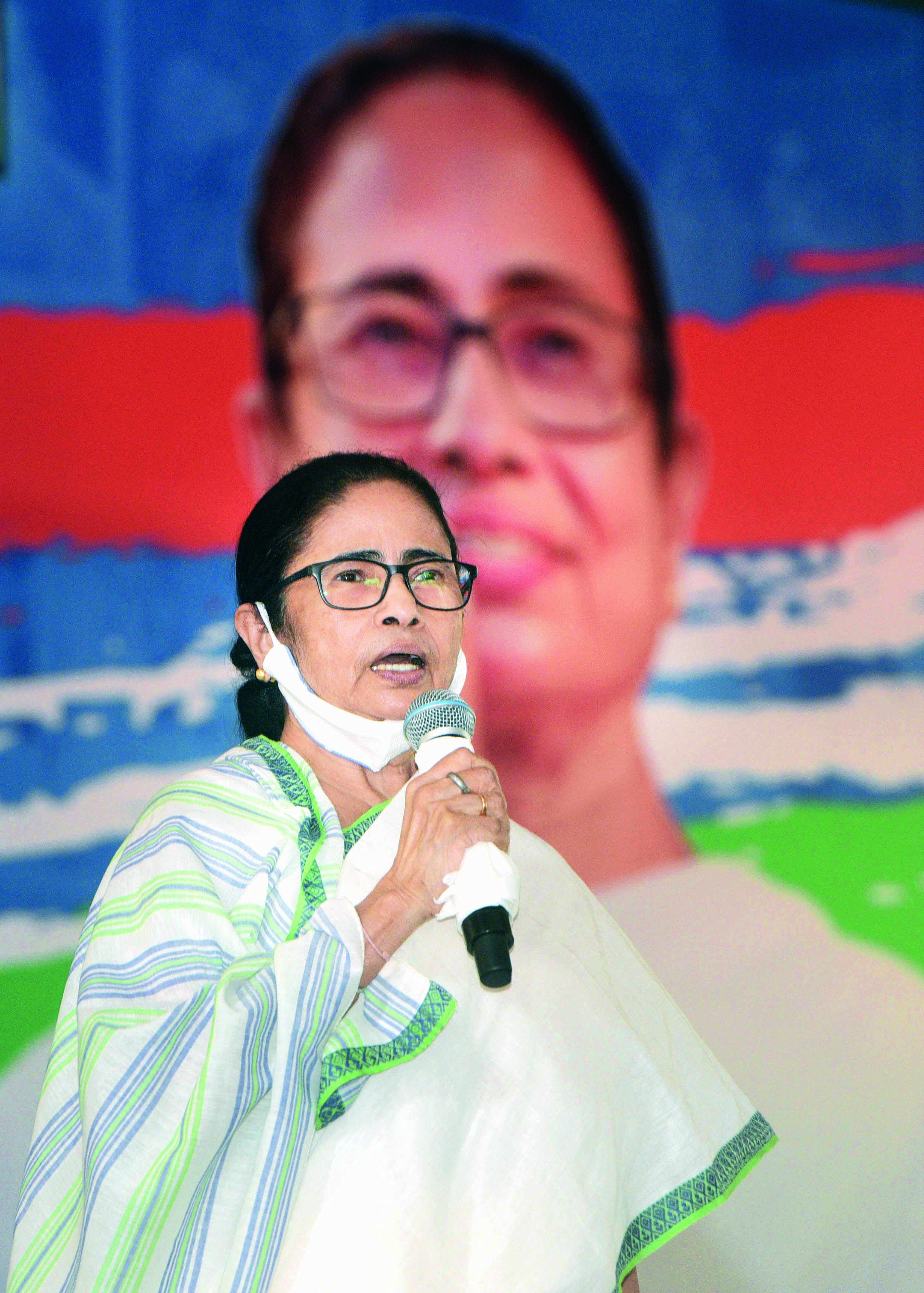Bengal doubles the minimum support price for Kendu leaf pluckers Bengal doubles the minimum support price for Kendu leaf pluckers