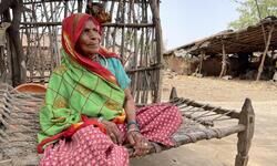 No meat, more wheat No meat, more wheat