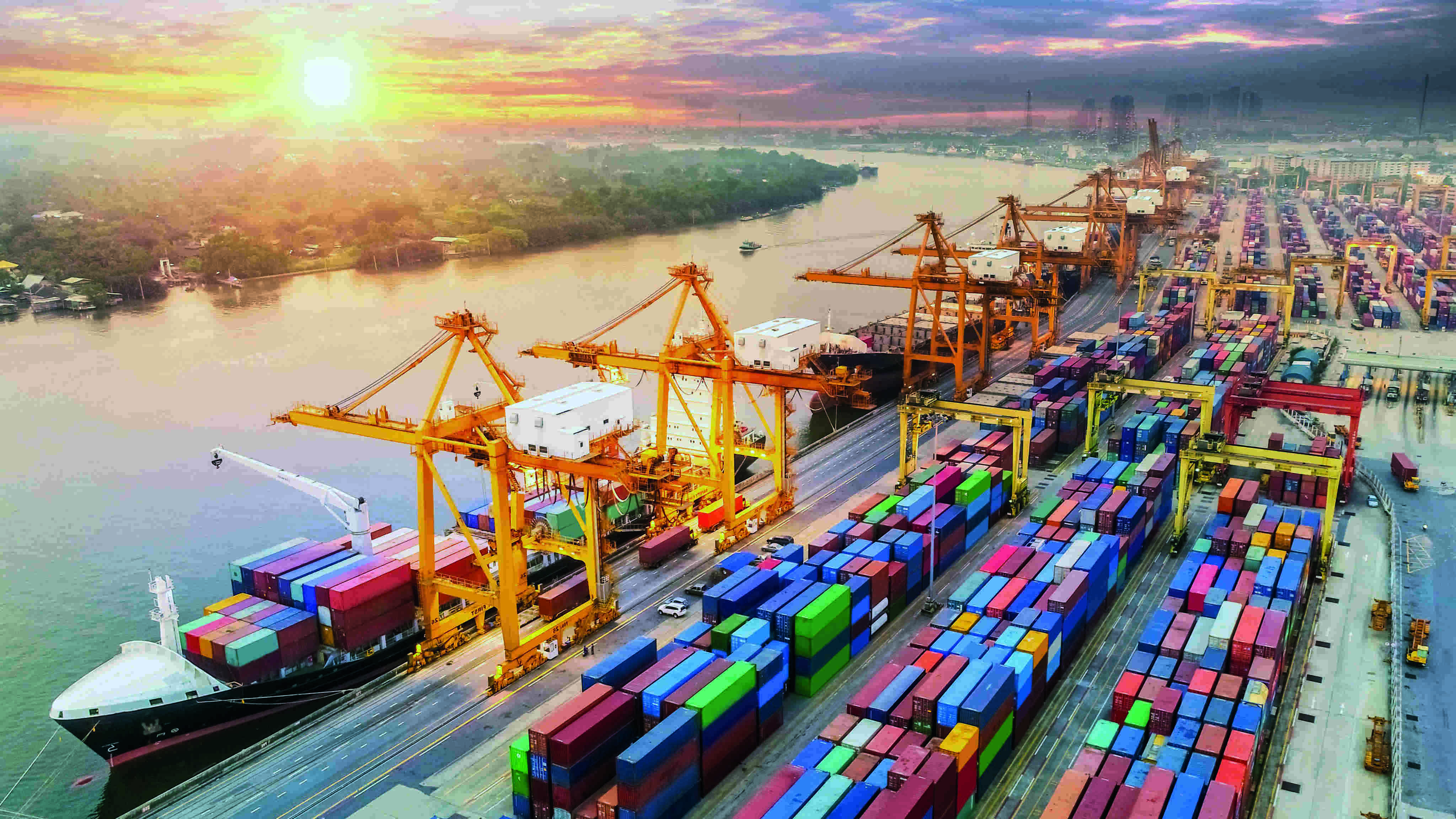 Excise duty cut will help reduce logistics cost and promote exports, say exporters